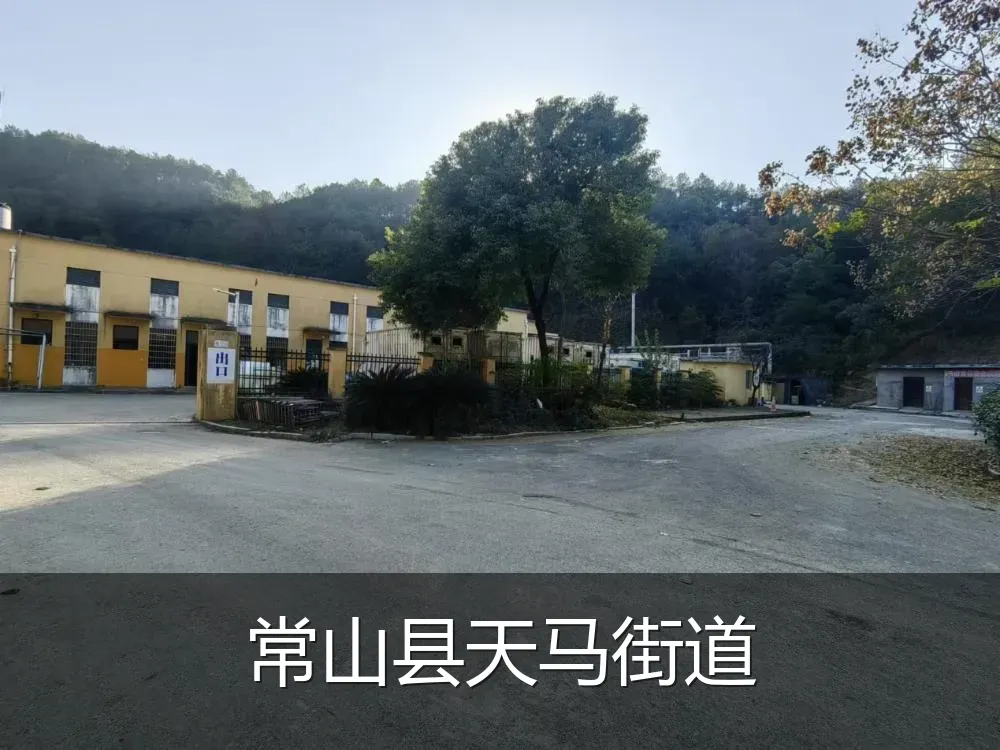 常山县天马街道
