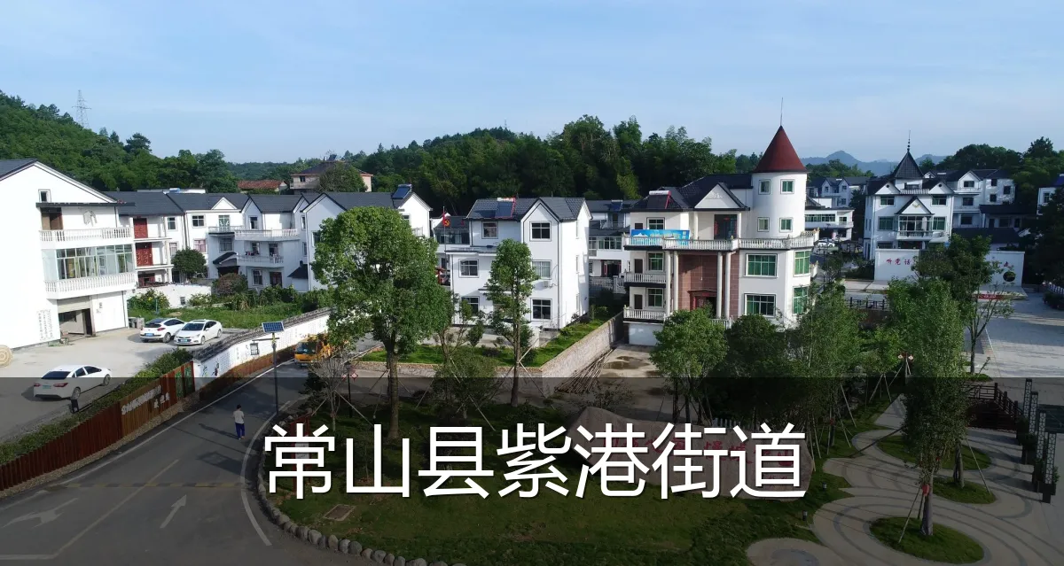 常山县紫港街道