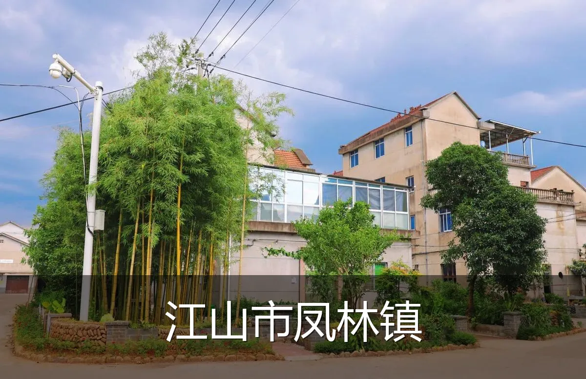 江山市凤林镇