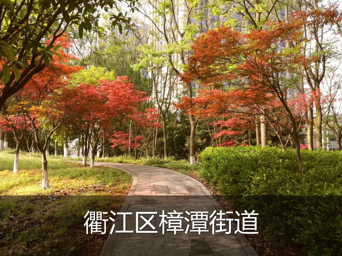 衢江区樟潭街道