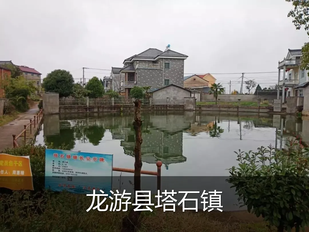 龙游县塔石镇