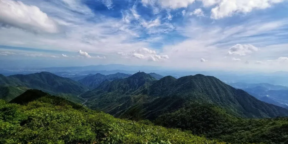 衢州衢州移动宽带